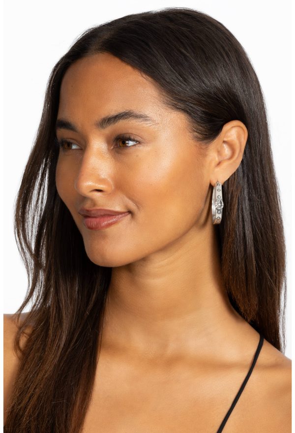 WESTERN HORSESHOE HOOP EARRINGS - Image 2