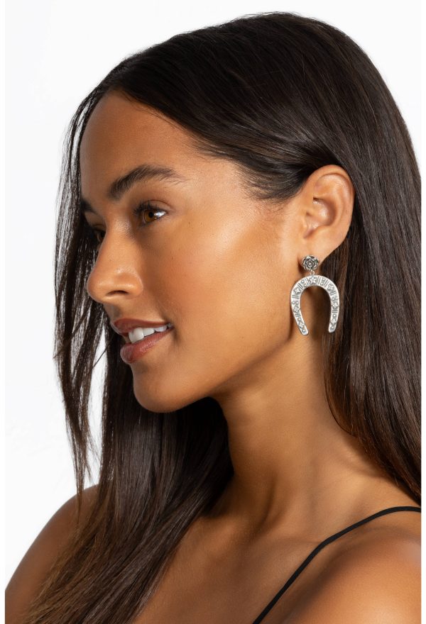 WESTERN HORSESHOE EARRINGS - Image 4